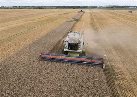 Why allowing Ukraine to ship grain during Russia’s war matters to the world